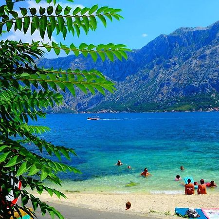 Bay Of Kotor View Apartment With Pool Prčanj Extérieur photo